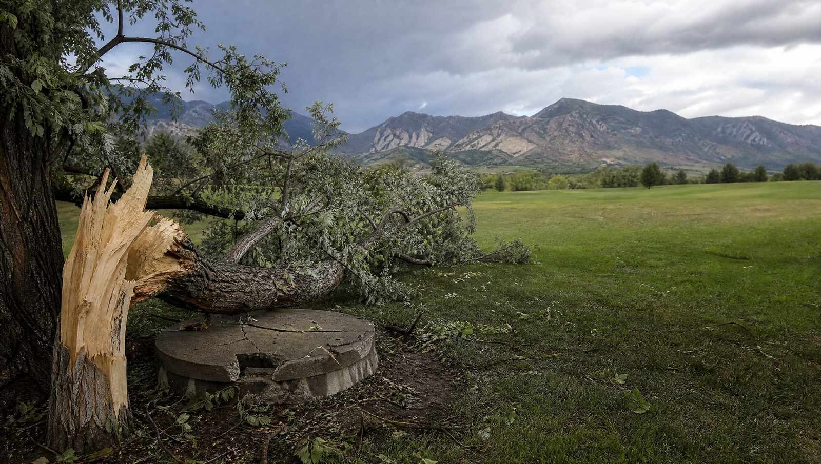 Storm broken tree limb lying across a cracked concrete septic tank lid after a Colorado storm