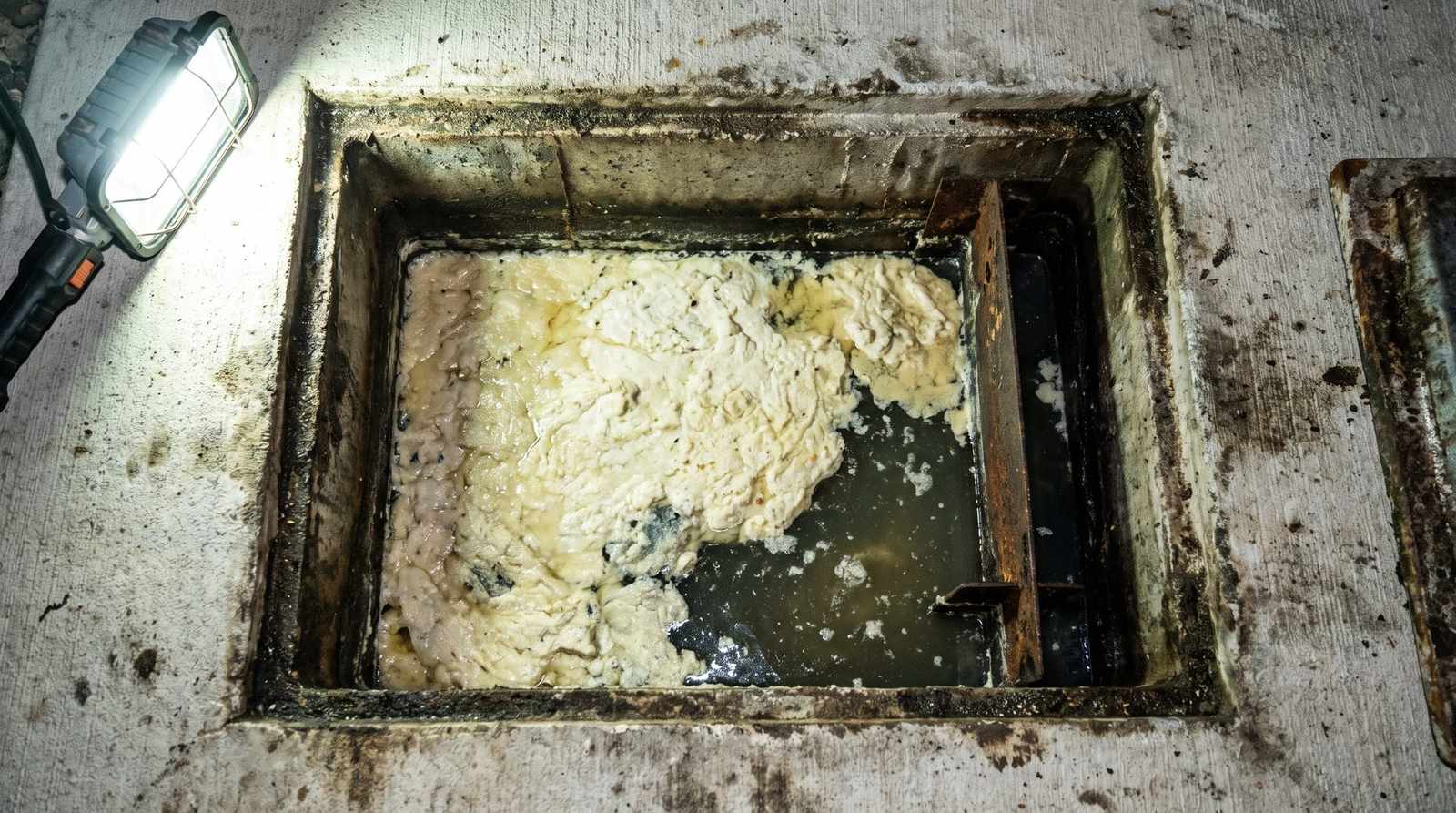Thick grease cap floating in an open commercial grease trap